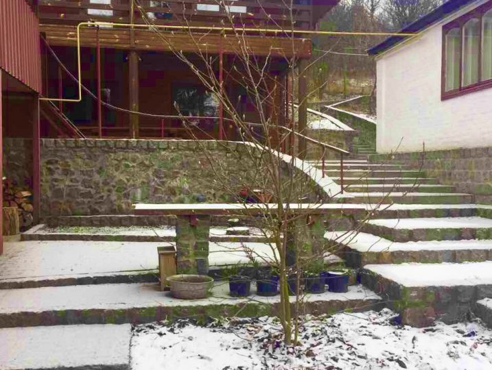 #20 Дом посуточно в лесу Киевская область — фото 1