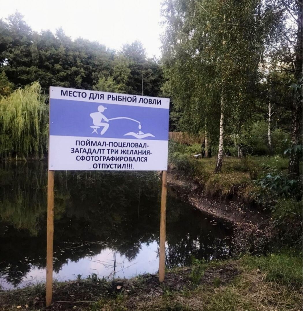 #208 А Дом на сутки в лесу Киевская область — фото 24