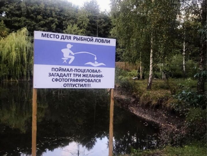 #208 А Дом на сутки в лесу Киевская область — фото 24