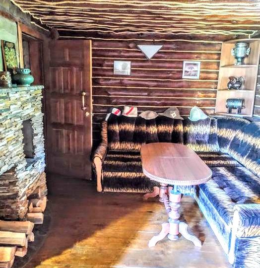 #237 Дом посуточно с баней Киевская область — фото 11