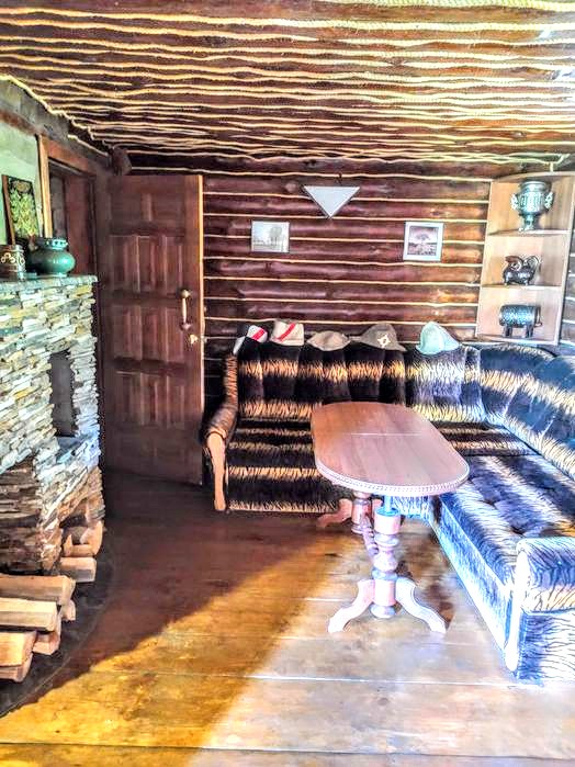 #237 Дом посуточно с баней Киевская область — фото 11