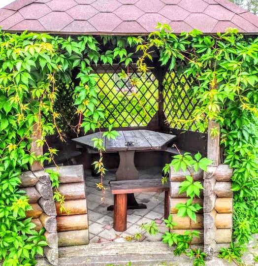 #237 Дом посуточно с баней Киевская область — фото 7