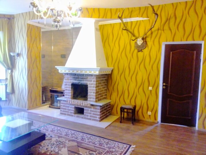 #345 Дом в Киеве посуточно Голосеевский район — фото 25