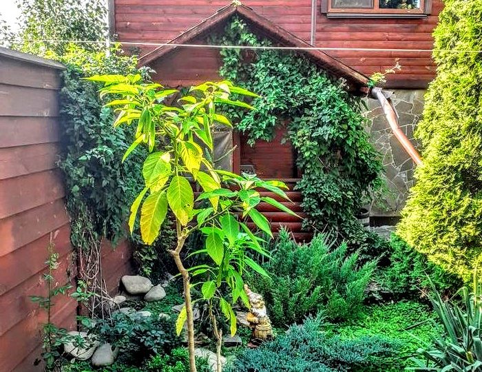 #369 Аренда дома на сутки Киев Деснянский район — фото 18