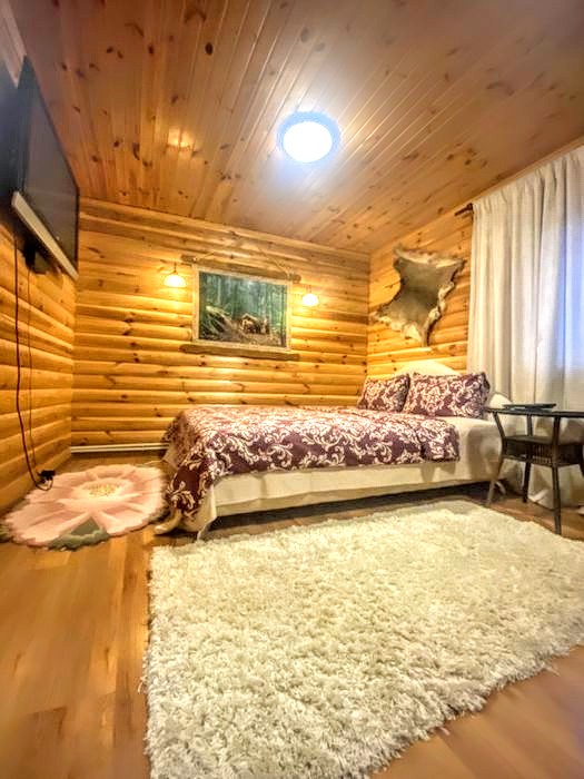 #369 Аренда дома на сутки Киев Деснянский район — фото 12