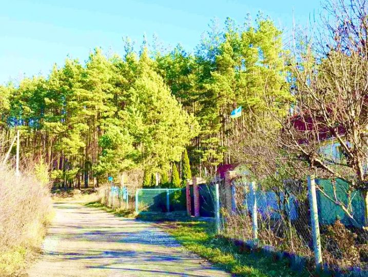 #37 Дом с чаном посуточно за Белогородкой Киевская область — фото 23