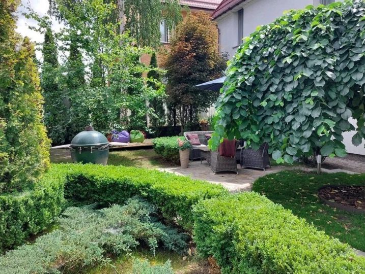 #58 Дом для праздника посуточно Киев Дарницкий район — фото 17
