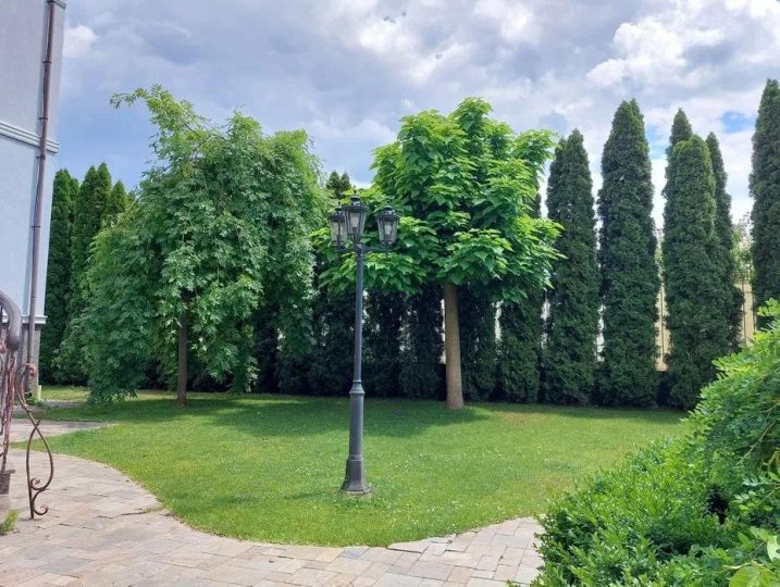 #58 Дом для праздника посуточно Киев Дарницкий район — фото 14