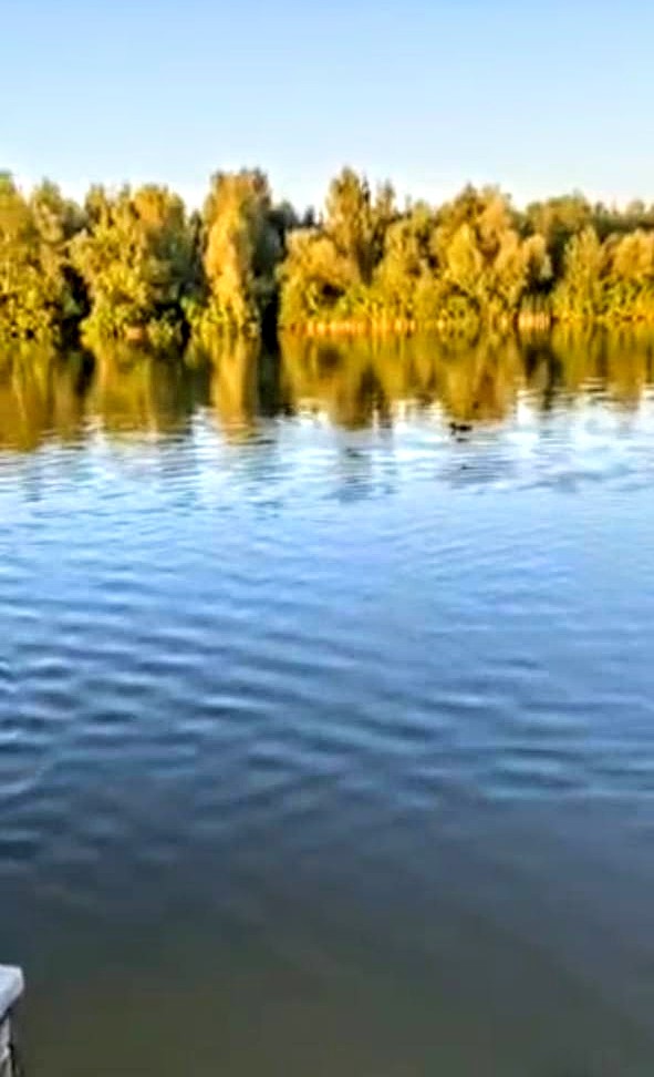 #460 Дом на сутки с баней Киев Осоорки — фото 30