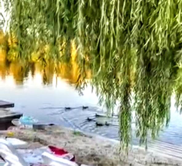 #460 Дом на сутки с баней Киев Осоорки — фото 29
