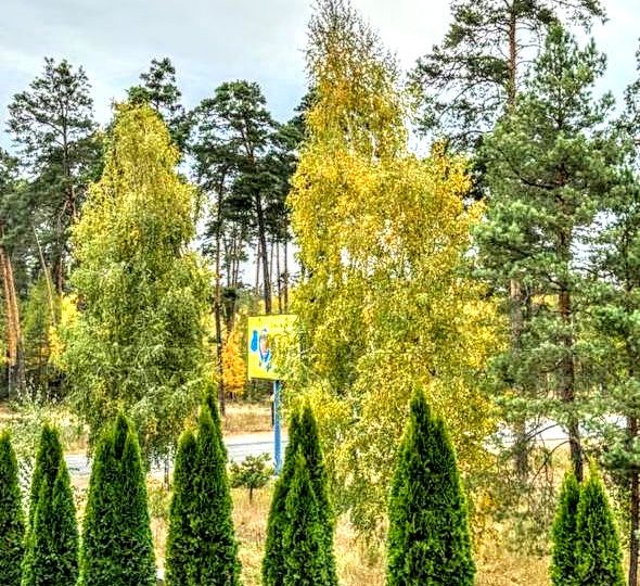 #488 Дом на сутки с баней Новоселки — фото 3