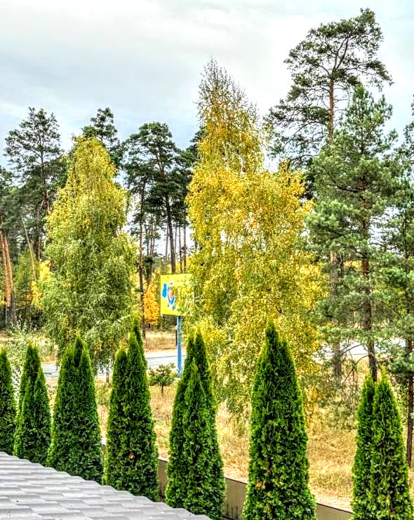 #488 Дом на сутки с баней Новоселки — фото 3