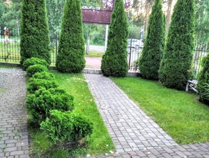 #488 Дом на сутки с бассейном и баней Новоселки — фото 22