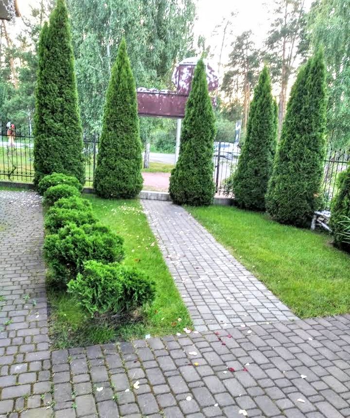#488 Дом на сутки с бассейном и баней Новоселки — фото 22