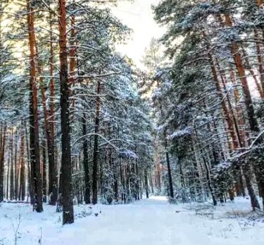 #488 Дом на сутки с бассейном и баней Новоселки — фото 6