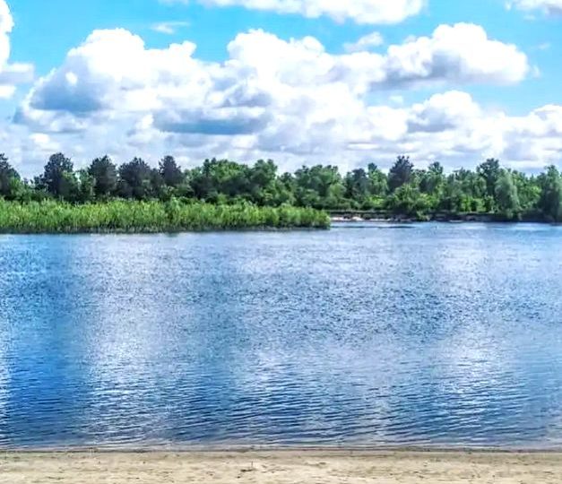 #488 Дом на сутки с бассейном и баней Новоселки — фото 5