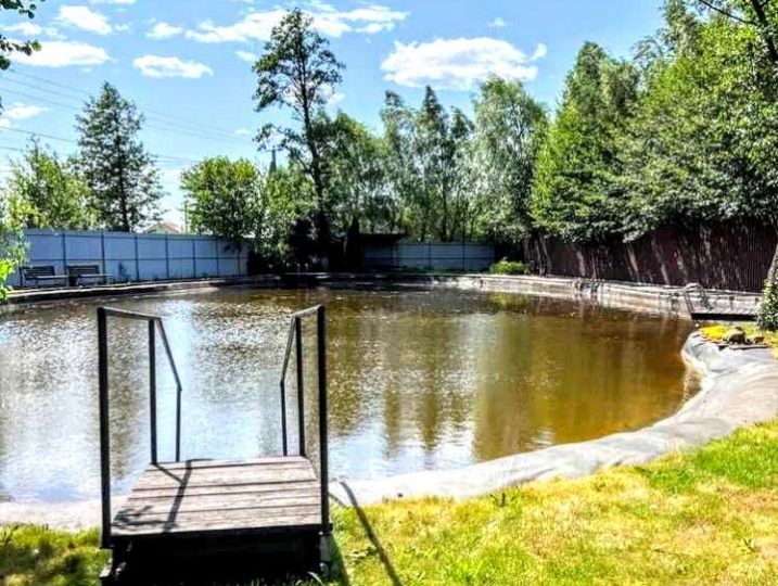 #480 Дом на сутки около озера Рожны Киевская область — фото 13