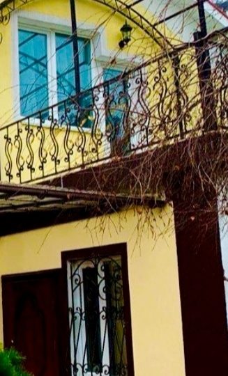 #608 Дом с баней и бассейном на сутки за Борисполем — фото 12