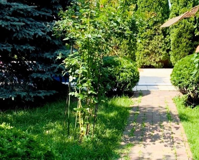 #608 Дом с баней и бассейном на сутки за Борисполем — фото 6