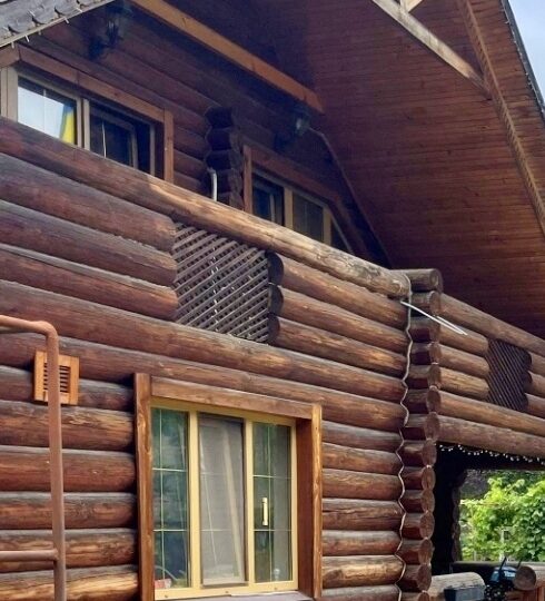 #610 Дом с бассейном посуточно Киевская область — фото 12