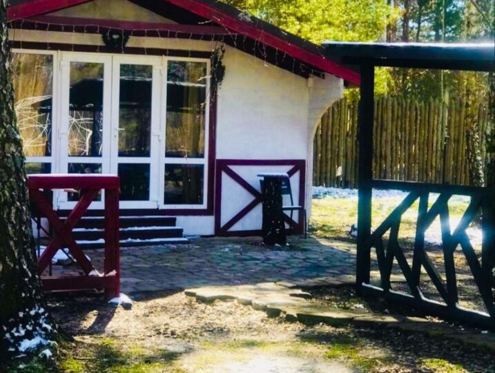 #208 Б Дом посуточно у озера Киевская область — фото 13