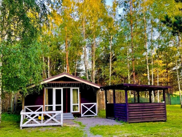 #208 Б Дом посуточно у озера Киевская область — фото 3