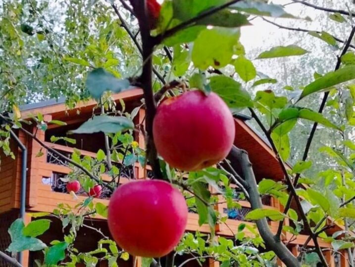 #32 Коттедж у озера на сутки Киевская область — фото 30
