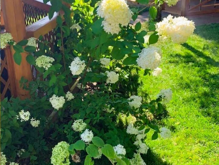 #32 Коттедж у озера на сутки Киевская область — фото 24