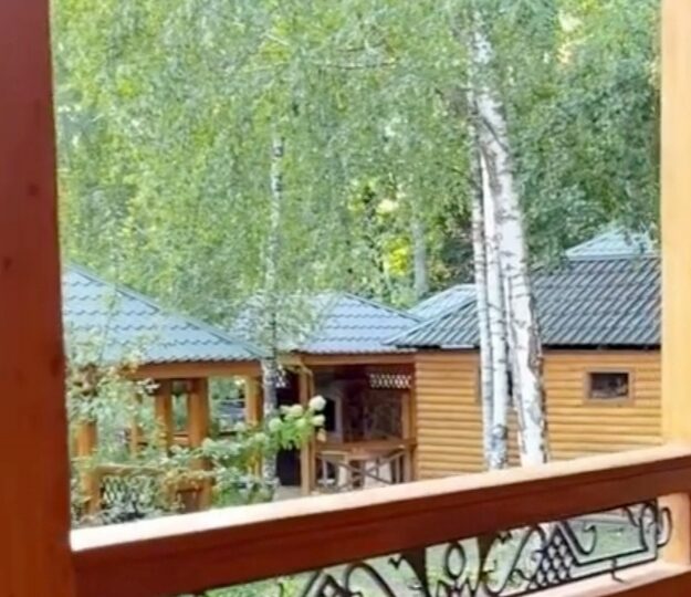 #32 Коттедж у озера на сутки Киевская область — фото 8