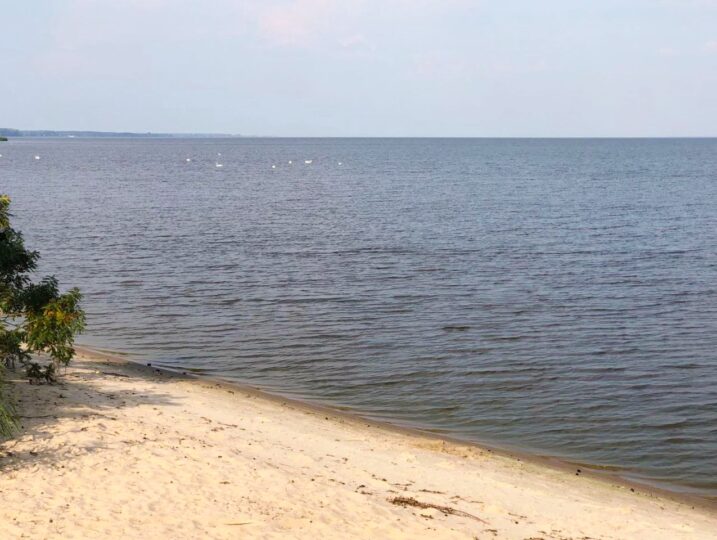 #234 Б Дом посуточно на берегу Киевского моря — фото 2