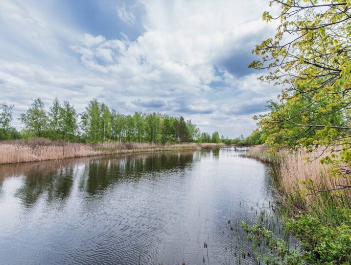 #457-2 Дома на берегу озера посуточно Козин — фото 57