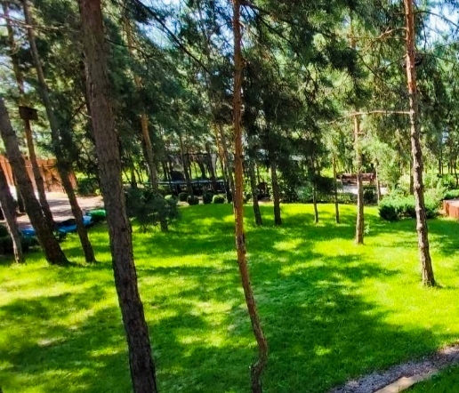 #202 А Дом посуточно в лесу за Осокорками — фото 9