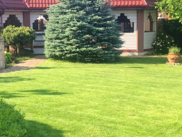 #427 Дом посуточно с бассейном Боярка — фото 9