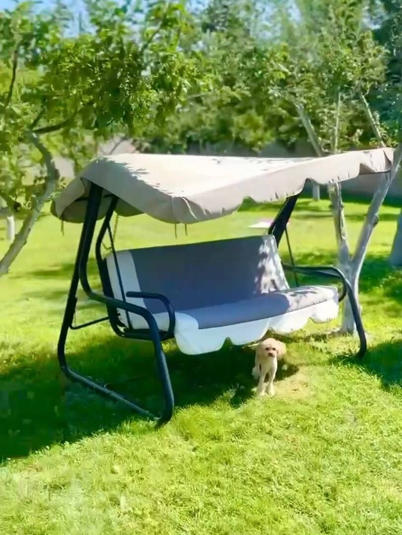 #257 А Дом на сутки с бассейном Киев Осокорки — фото 5