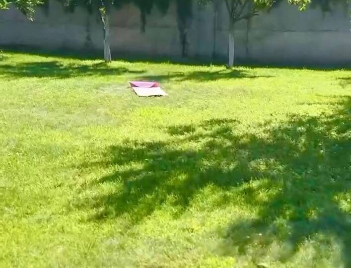 #257 А Дом на сутки с бассейном Киев Осокорки — фото 3