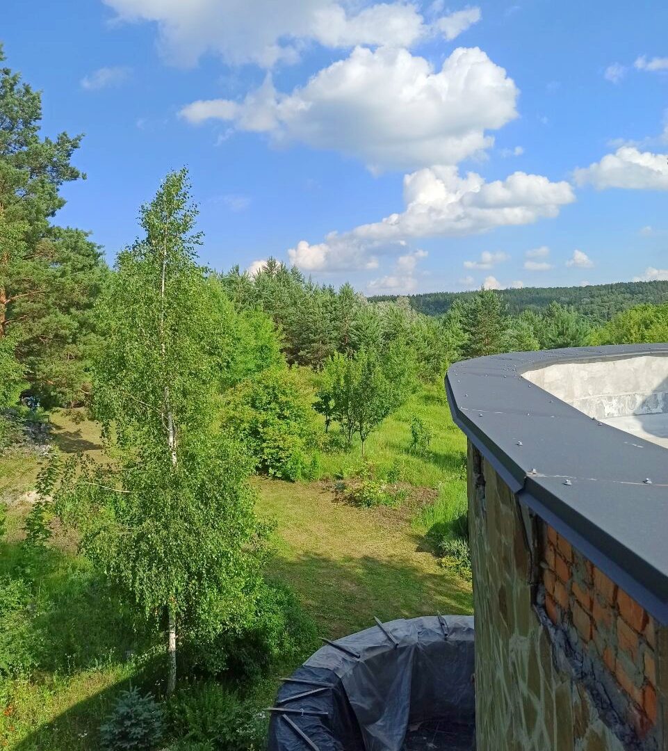 #624 Снять дом на сутки с бассейном Киевская область — фото 14