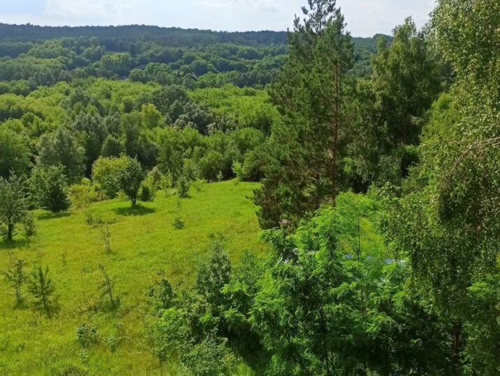 #624 Снять дом на сутки с бассейном Киевская область — фото 12