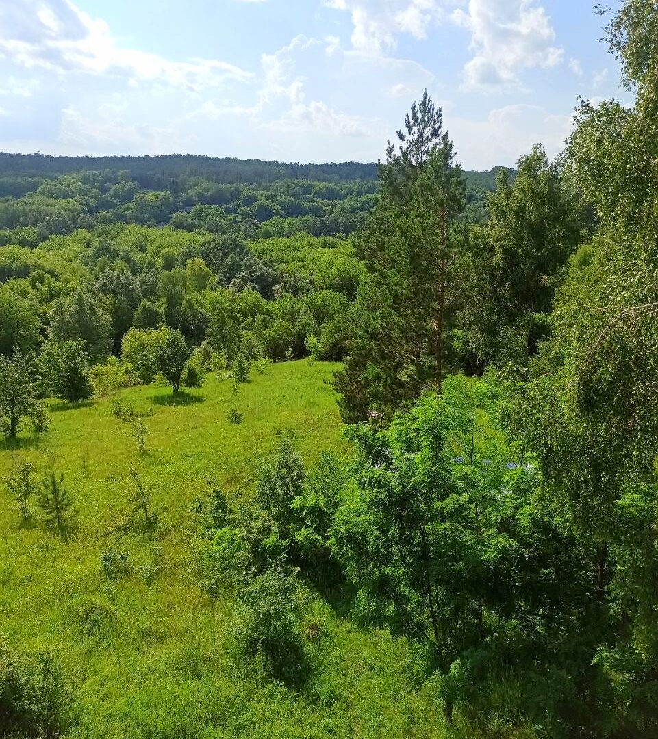 #624 Снять дом на сутки с бассейном Киевская область — фото 12
