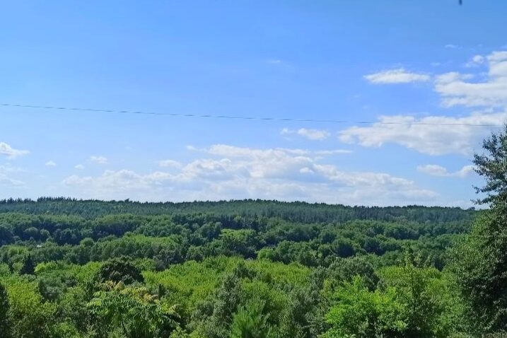 #624 Снять дом на сутки с бассейном Киевская область — фото 4