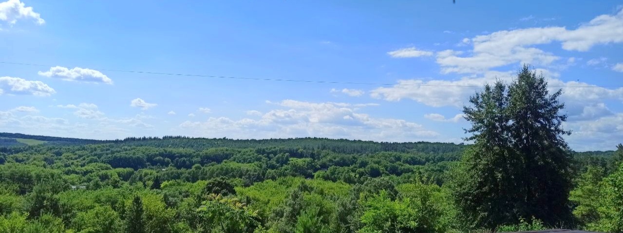 #624 Снять дом на сутки с бассейном Киевская область — фото 4