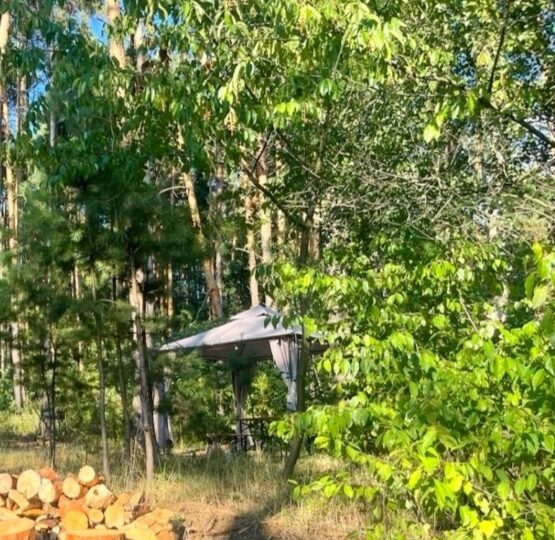 #627 Дом на сутки в лесу Киевская область — фото 5