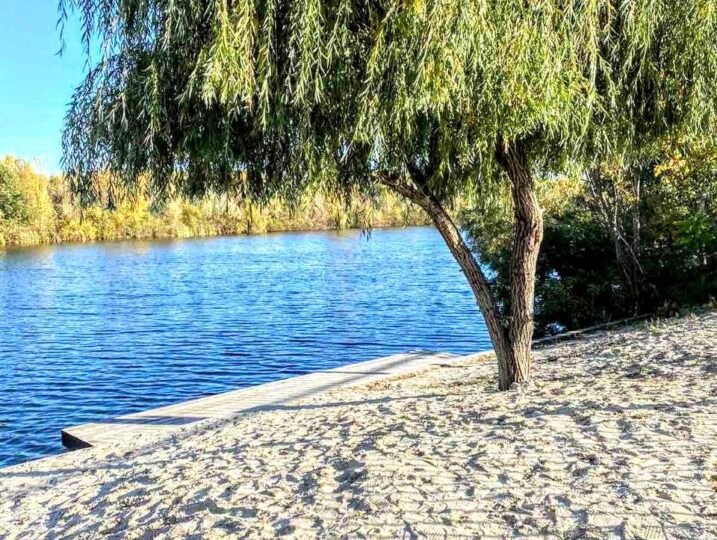 #460 В Дома посуточно Киев Осокорки — фото 29