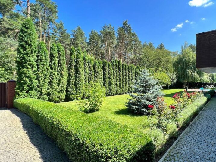 #439 А Элитный дом посуточно Киевская область — фото 3