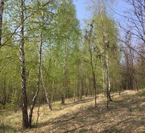 # 22 Дом на природе на сутки Киевская область — фото 17
