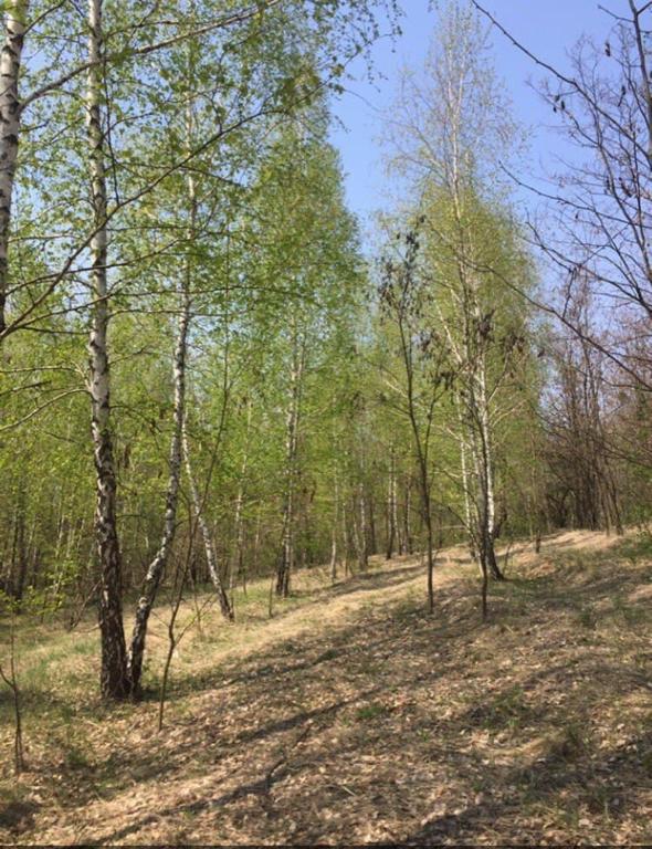 # 22 Дом на природе на сутки Киевская область — фото 17