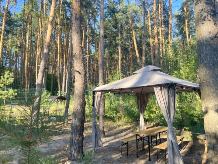 #627 Дом на сутки в лесу Киевская область — фото 24