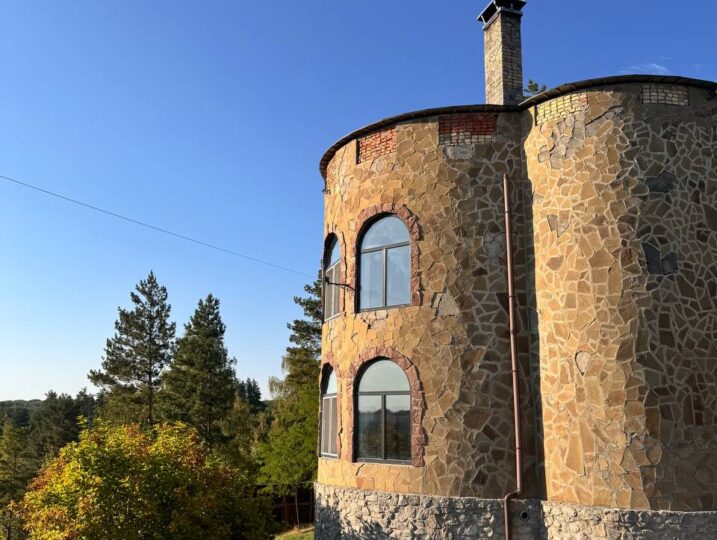 #624 Снять дом на сутки с бассейном Киевская область — фото 24