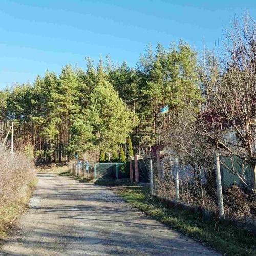 #37 Дом с чаном посуточно за Белогородкой Киевская область — фото 49