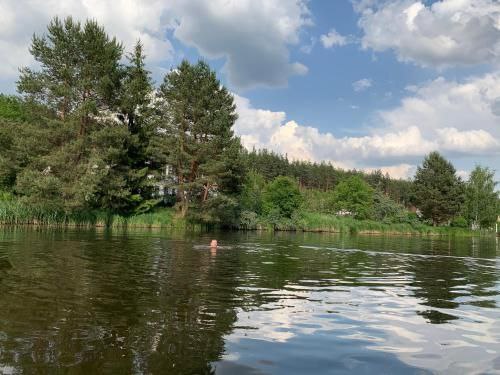 #37 Дом с чаном посуточно за Белогородкой Киевская область — фото 45