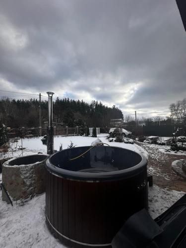 #37 Дом с чаном посуточно за Белогородкой Киевская область — фото 32
